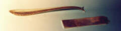 zilver